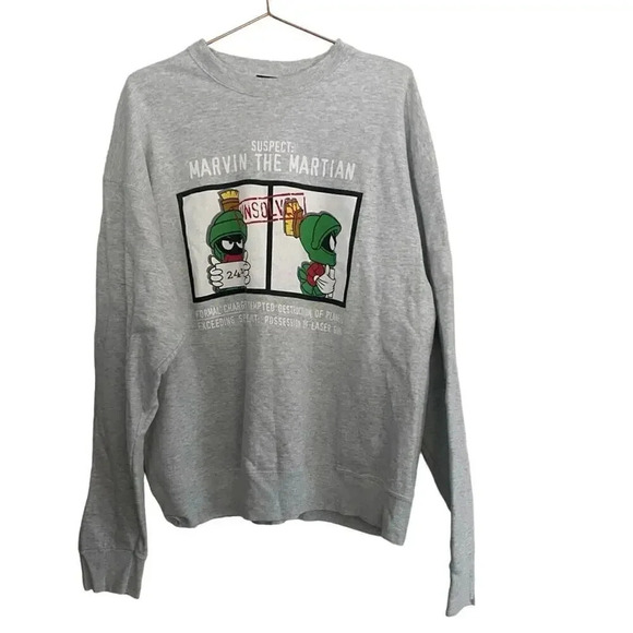 Warner Bros Studio Store Gray Long Sleeve Crew Neck Sweatshirt Size XL - Picture 1 of 5
